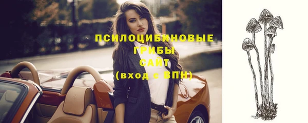 apvp Абинск