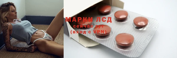 ГАЛЛЮЦИНОГЕННЫЕ ГРИБЫ Абаза