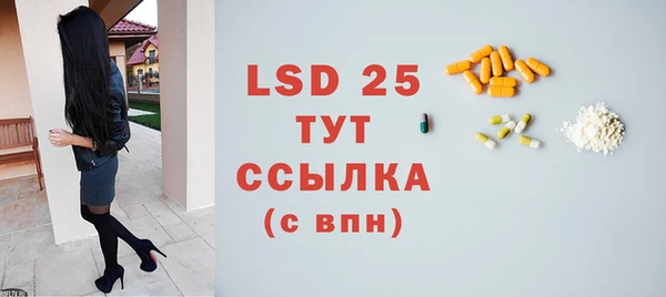 ГАЛЛЮЦИНОГЕННЫЕ ГРИБЫ Абаза
