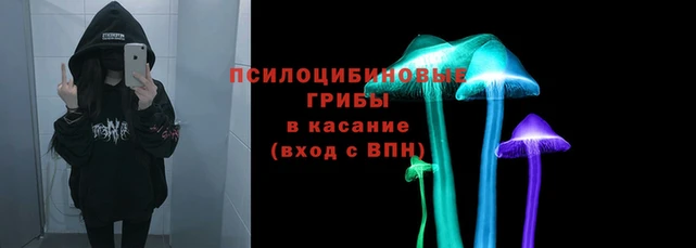 трава Абдулино
