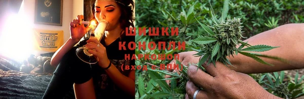 ГАЛЛЮЦИНОГЕННЫЕ ГРИБЫ Абаза