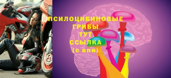 ГАЛЛЮЦИНОГЕННЫЕ ГРИБЫ Абаза